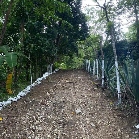 Гостевой дом Casa Colibri Copan Экстерьер фото