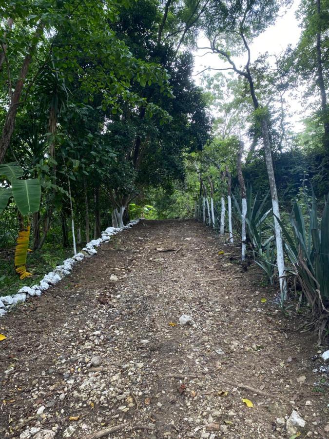 Гостевой дом Casa Colibri Copan Экстерьер фото