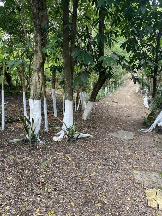 Гостевой дом Casa Colibri Copan Экстерьер фото